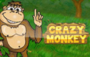 Crazy monkey.
